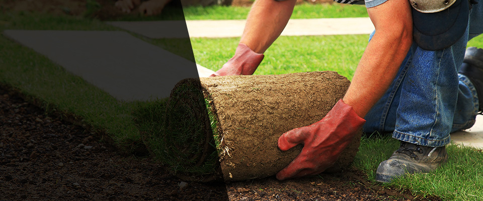 Nolensville Landscapers